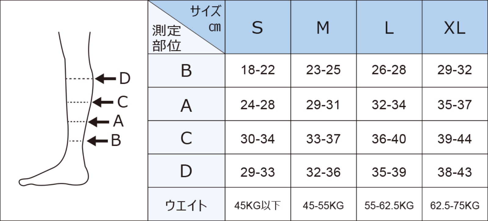 サイズ表